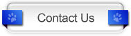 contact us icon